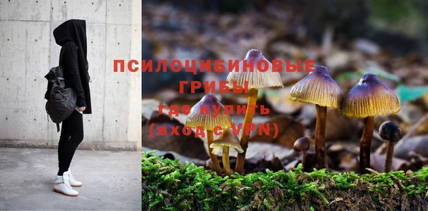 кокс Абдулино