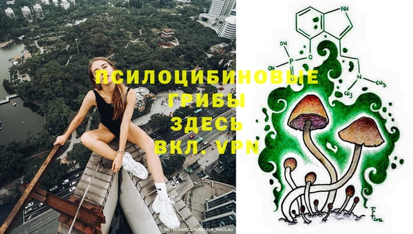 наркотики Абаза