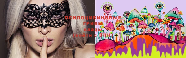 кокс Абдулино