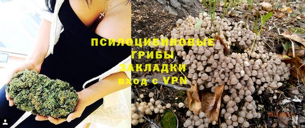 кокс Абдулино