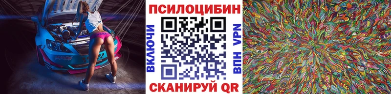 как найти закладки  Уржум  Галлюциногенные грибы Psilocybine cubensis 