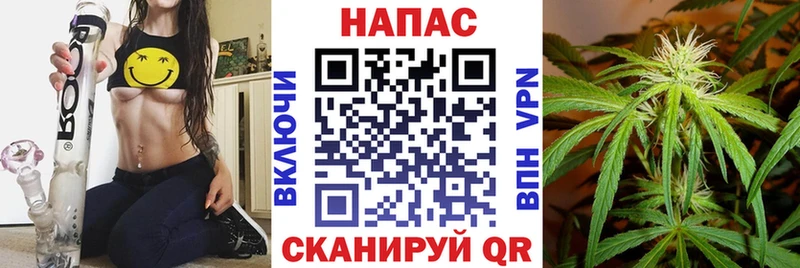 Марихуана гибрид  как найти наркотики  Уржум 
